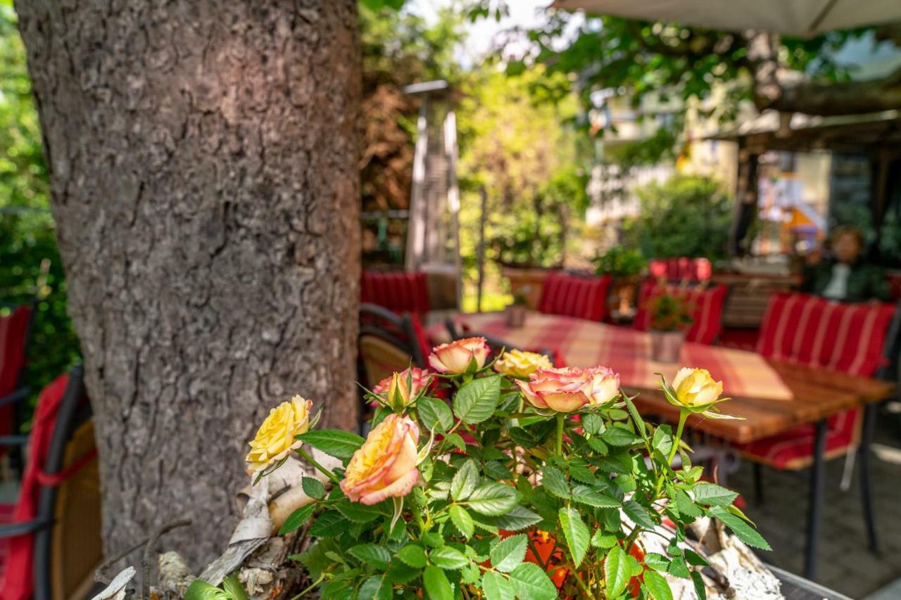 Goldener Pfropfenzieher Oberwesel Εξωτερικό φωτογραφία